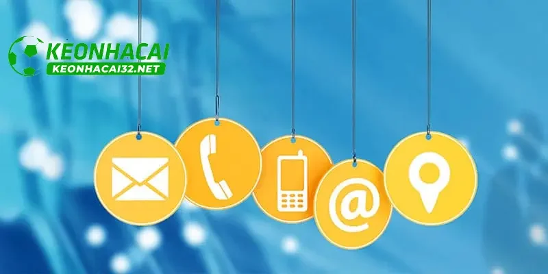 Các hình thức liên hệ phổ biến với website