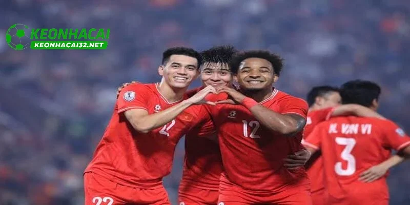 Các giải đấu tại Việt Nam